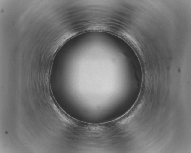 X0000088621041200706081516