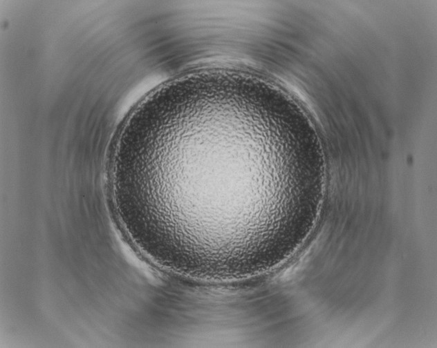 X0000088621042200706081516