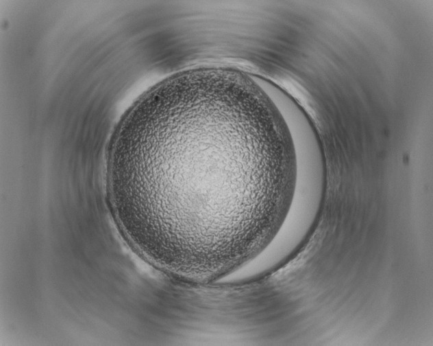 X0000088621046200706081516