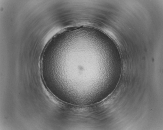 X0000088621047200706081516