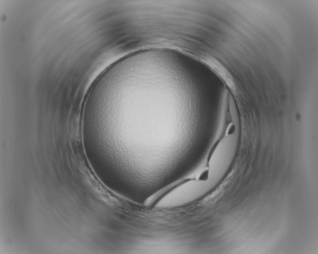 X0000088621052200706081517