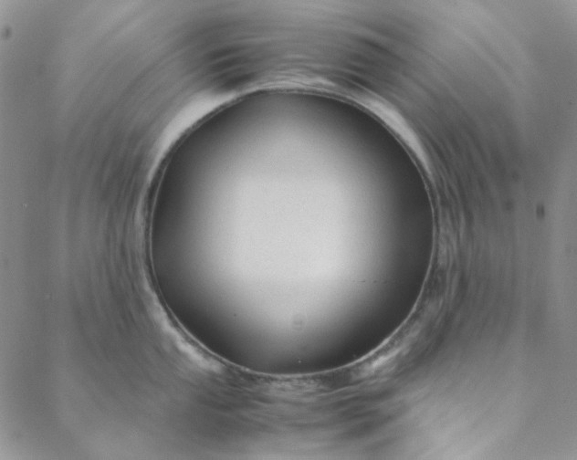 X0000088621053200706081517