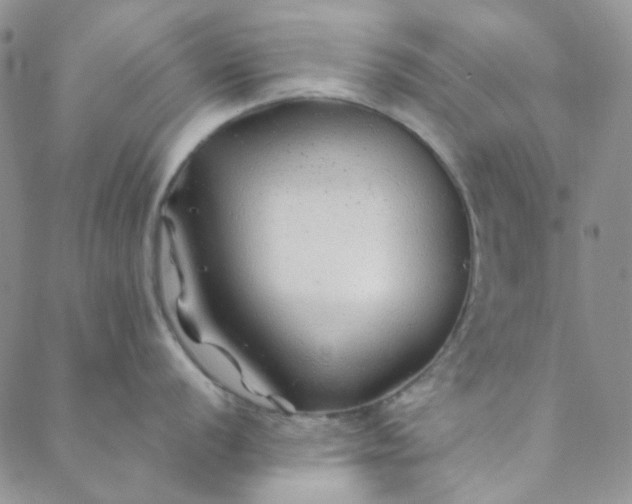 X0000088621056200706081517