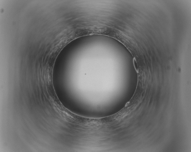 X0000088621058200706081516