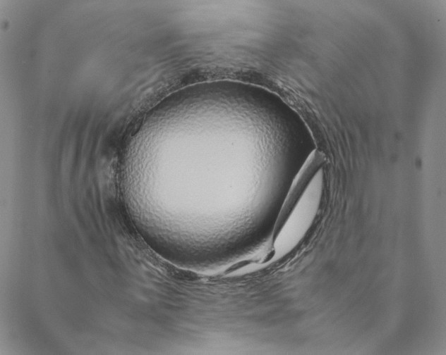 X0000088621059200706081516
