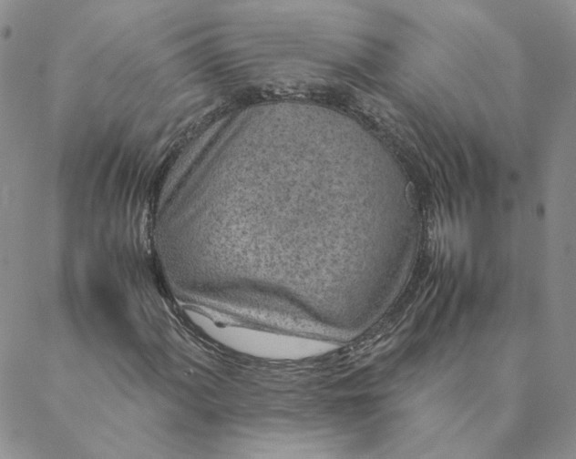X0000088621060200706081516
