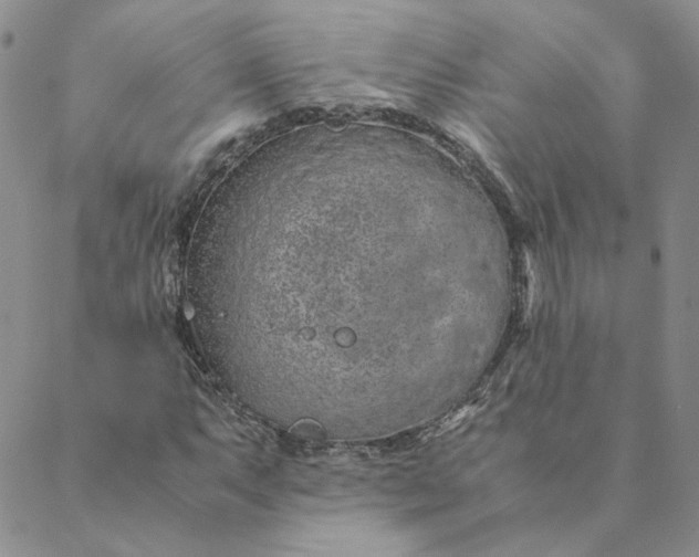 X0000088621063200706081516