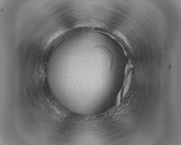 X0000088621064200706081516
