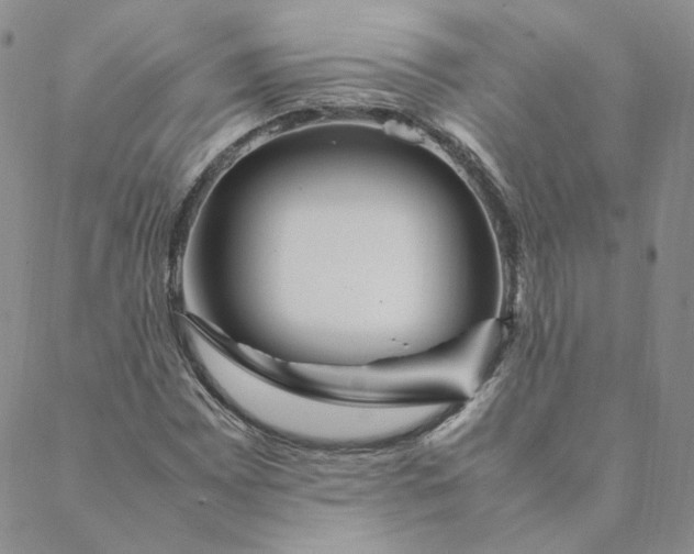 X0000088621065200706081516