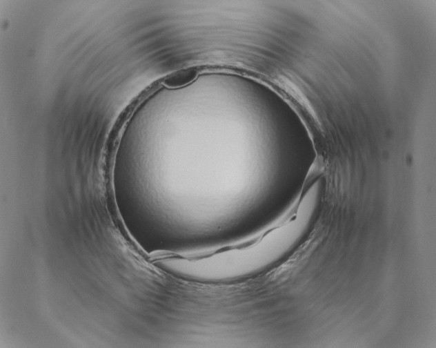 X0000088621068200706081516