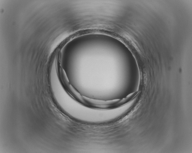 X0000088621069200706081516