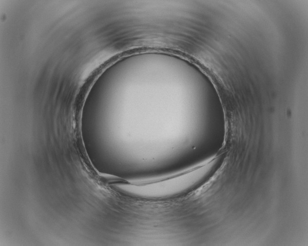 X0000088621070200706081516