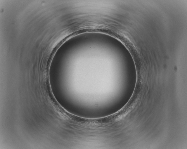 X0000088621073200706081516