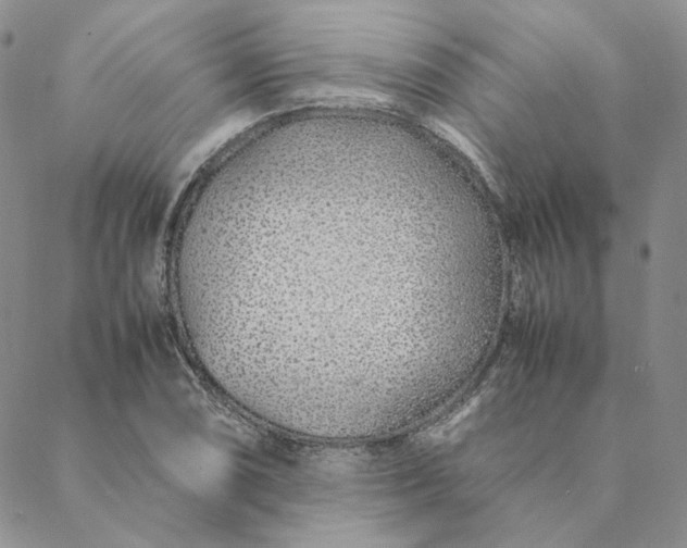 X0000088621074200706081516