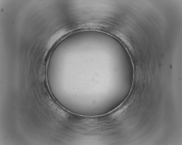 X0000088621075200706081516