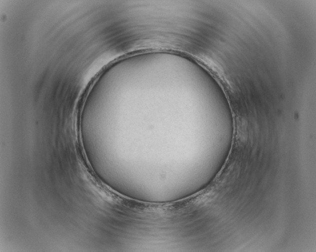 X0000088621078200706081516
