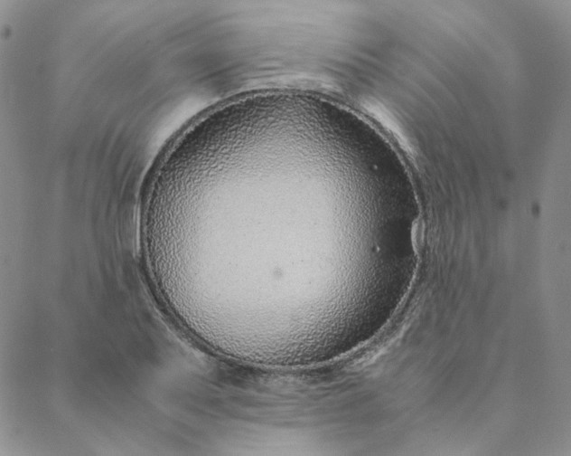 X0000088621079200706081515