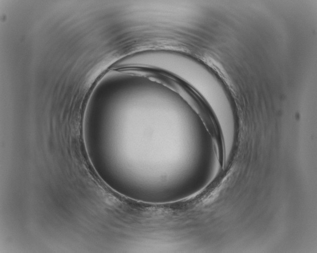 X0000088621081200706081515