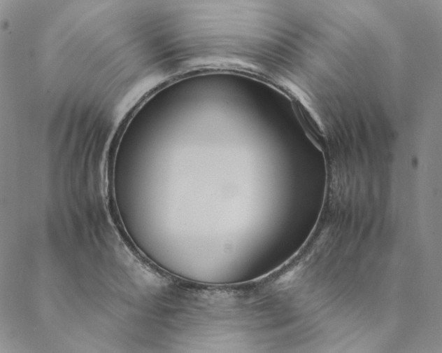 X0000088621082200706081515