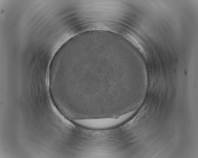 X0000088621084200706081515