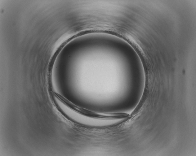 X0000088621085200706081515