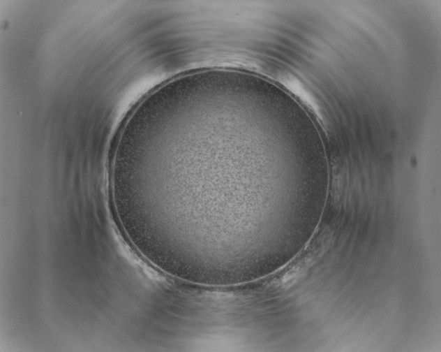 X0000088621088200706081515