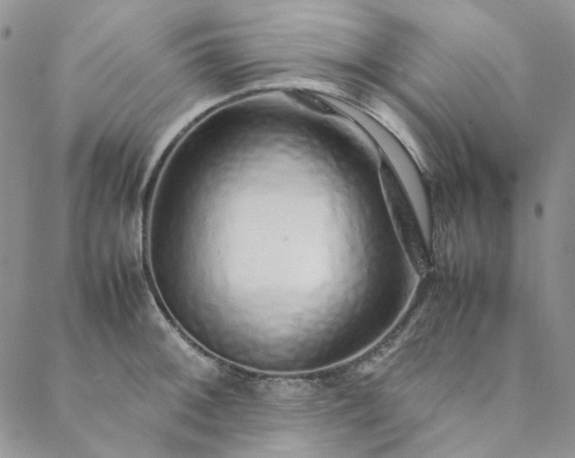 X0000088621092200706081515