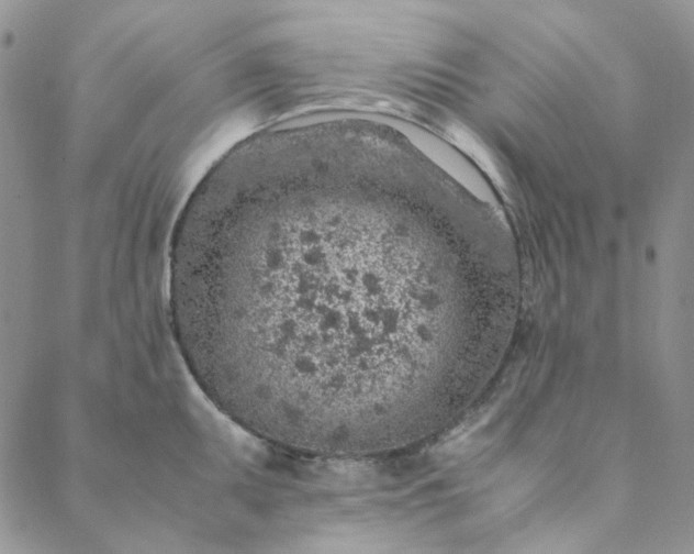 X0000088621095200706081515