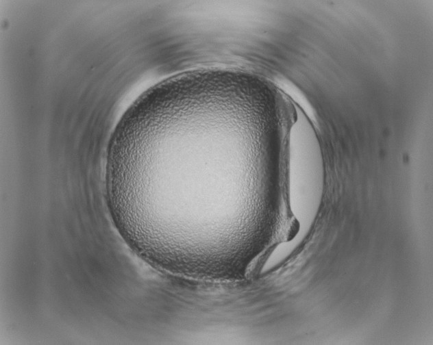 X0000088621099200706081515
