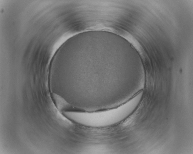 X0000088621102200706081515