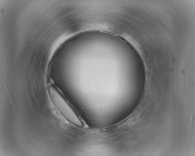 X0000088621104200706081515