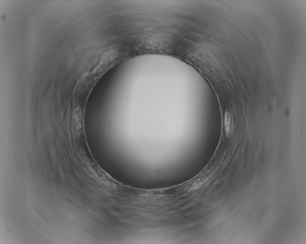 X0000088621107200706081514