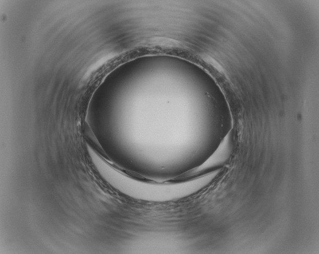 X0000088621112200706081514