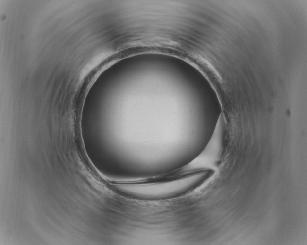 X0000088621114200706081514