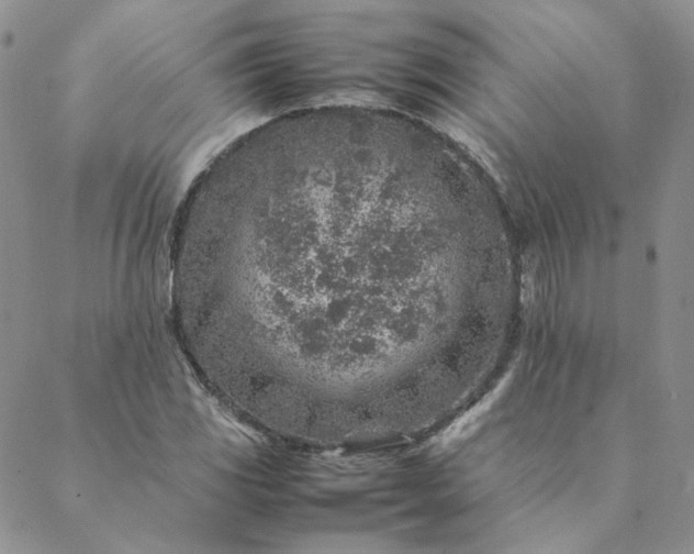 X0000088621117200706081514