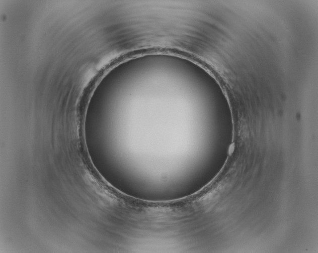 X0000088621118200706081515