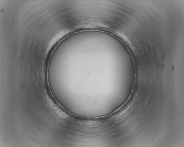 X0000088621122200706081515