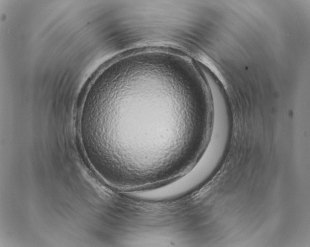 X0000088621124200706081515