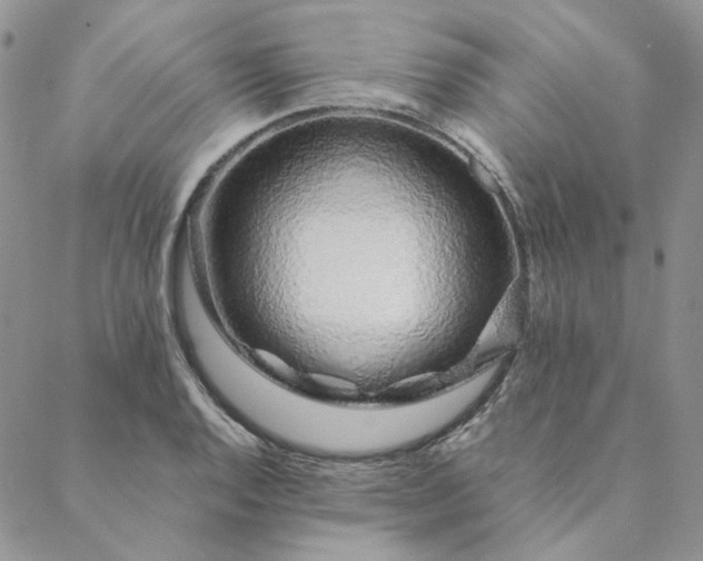 X0000088621128200706081515