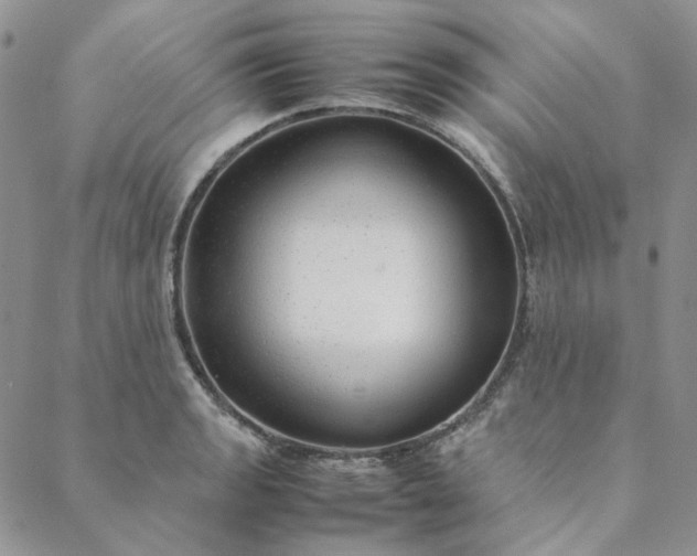X0000088621133200706081515