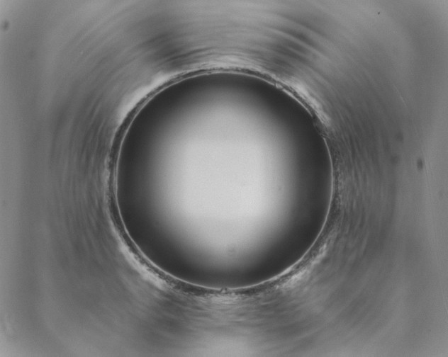 X0000088621134200706081515