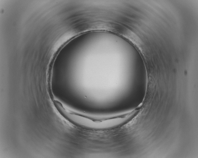 X0000088621135200706081515