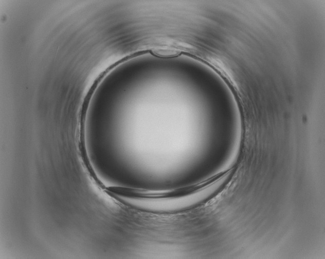 X0000088621136200706081515