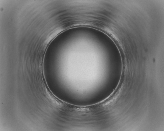 X0000088621137200706081515