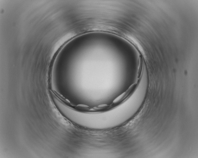 X0000088621138200706081515