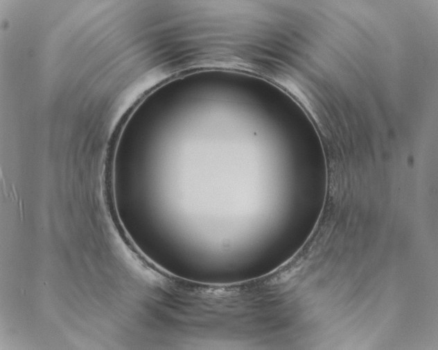 X0000088621139200706081515