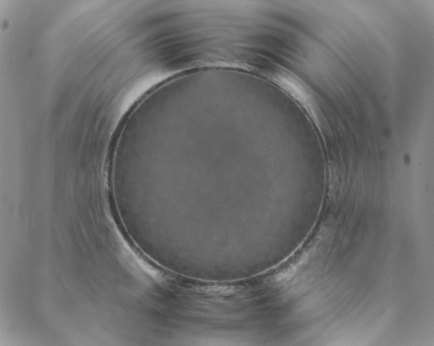X0000088621141200706081515