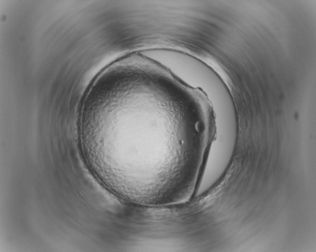 X0000088621142200706081515