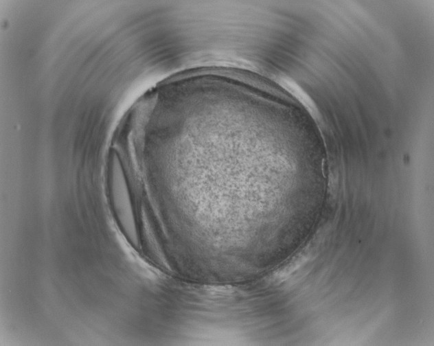 X0000088621144200706081515