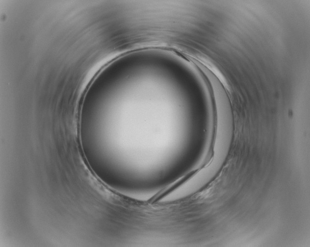 X0000088621148200706081515